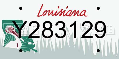 Y283129 Louisiana License Plate