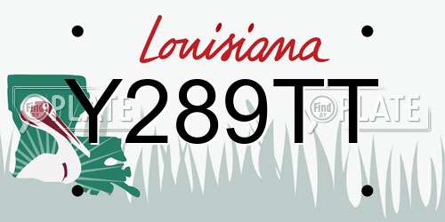 Y289TT Louisiana License Plate