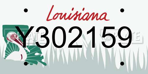 Y302159 Louisiana License Plate