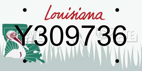 Y309736 Louisiana License Plate