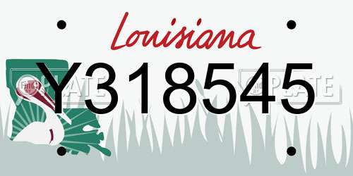 Y318545 Louisiana License Plate