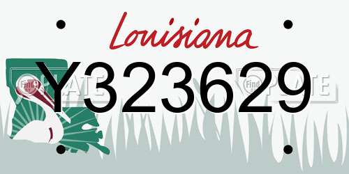 Y323629 Louisiana License Plate