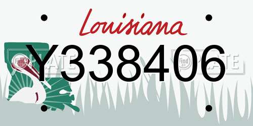 Y338406 Louisiana License Plate