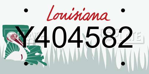 Y404582 Louisiana License Plate