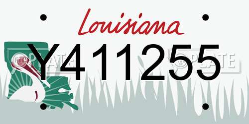 Y411255 Louisiana License Plate