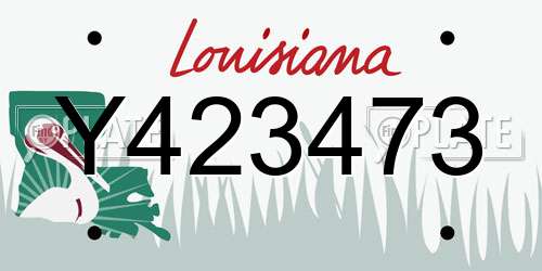 Y423473 Louisiana License Plate