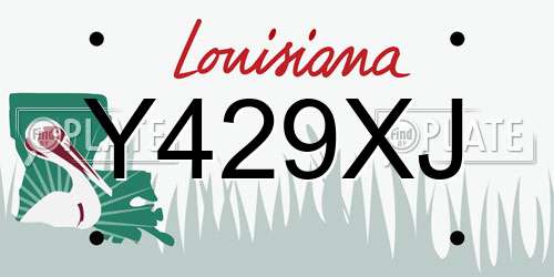 Y429XJ Louisiana License Plate