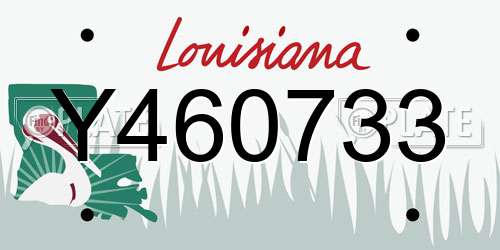 Y460733 Louisiana License Plate