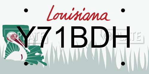 Y71BDH Louisiana License Plate