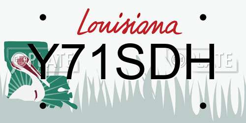 Y71SDH Louisiana License Plate