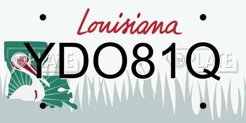 YDO81Q Louisiana License Plate