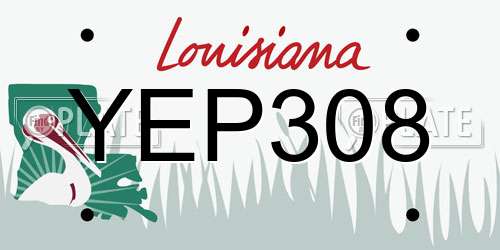 YEP308 Louisiana License Plate