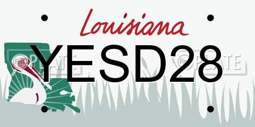 YESD28 Louisiana License Plate
