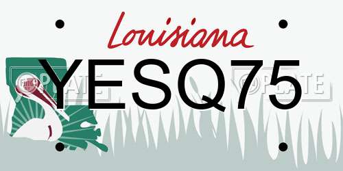 YESQ75 Louisiana License Plate