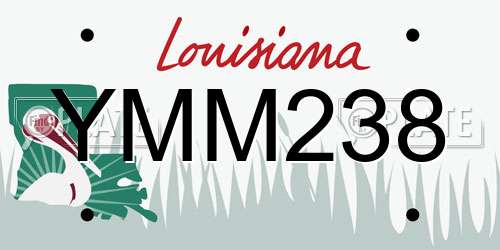 YMM238 Louisiana License Plate