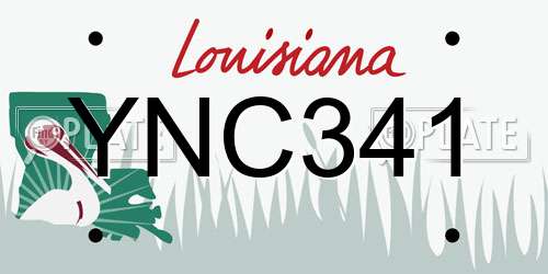 YNC341 Louisiana License Plate