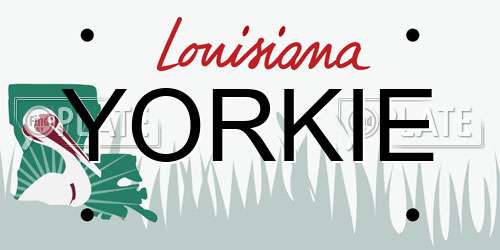YORKIE Louisiana License Plate