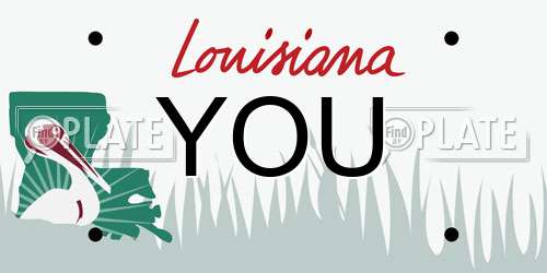 YOU Louisiana License Plate