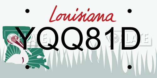 YQQ81D Louisiana License Plate