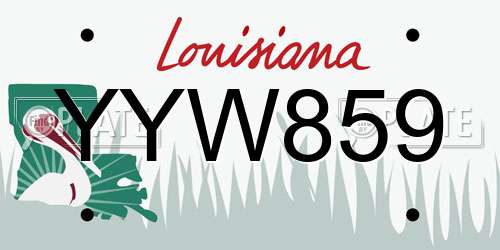 YYW859 Louisiana License Plate
