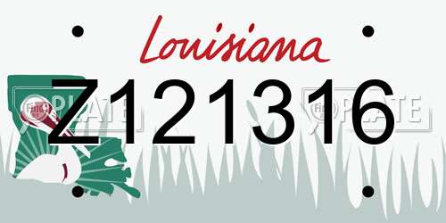 Z121316 Louisiana License Plate