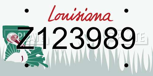 Z123989 Louisiana License Plate