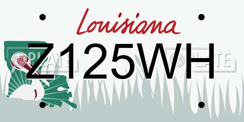Z125WH Louisiana License Plate