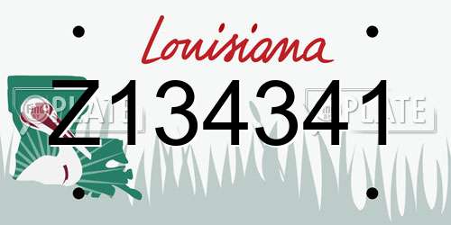 Z134341 Louisiana License Plate