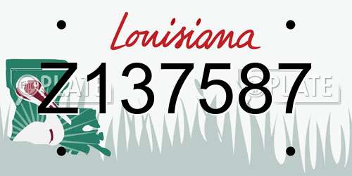 Z137587 Louisiana License Plate