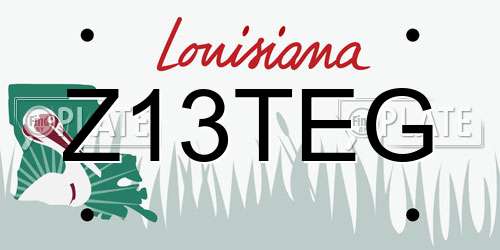 Z13TEG Louisiana License Plate