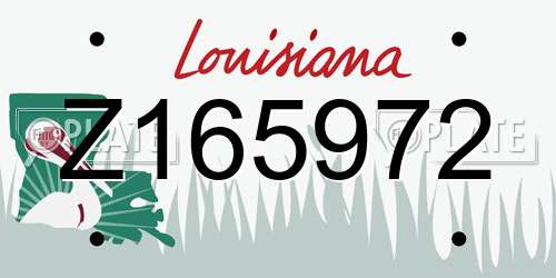 Z165972 Louisiana License Plate