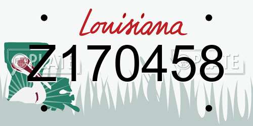 Z170458 Louisiana License Plate