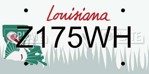 Z175WH Louisiana License Plate
