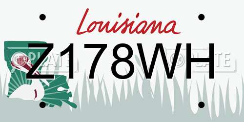 Z178WH Louisiana License Plate