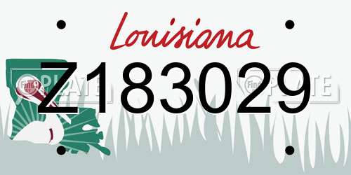 Z183029 Louisiana License Plate