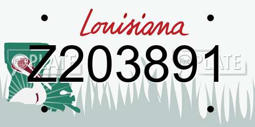 Z203891 Louisiana License Plate