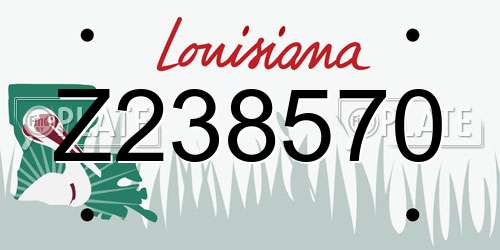 Z238570 Louisiana License Plate