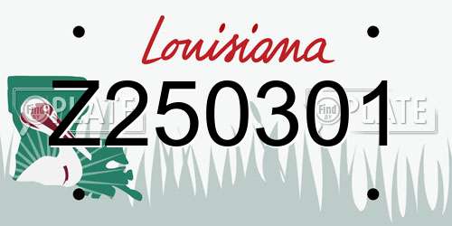 Z250301 Louisiana License Plate