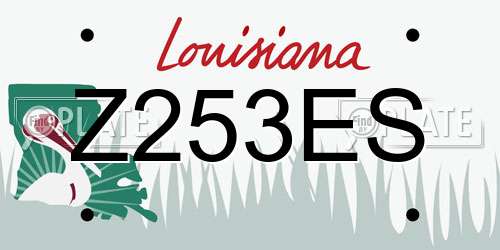 Z253ES Louisiana License Plate