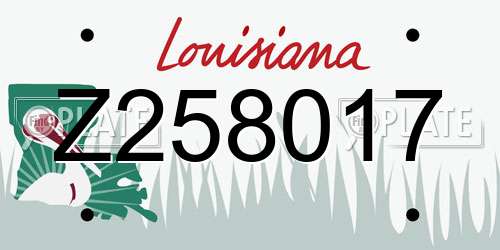 Z258017 Louisiana License Plate
