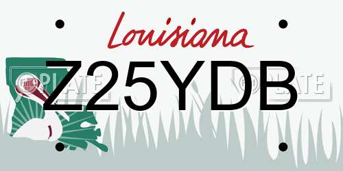 Z25YDB Louisiana License Plate