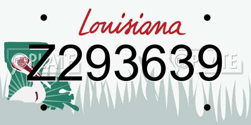 Z293639 Louisiana License Plate