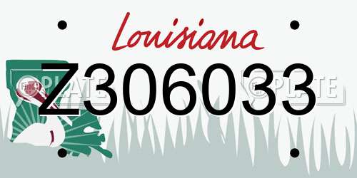 Z306033 Louisiana License Plate