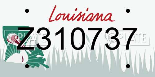 Z310737 Louisiana License Plate