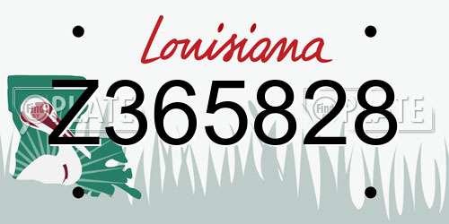 Z365828 Louisiana License Plate