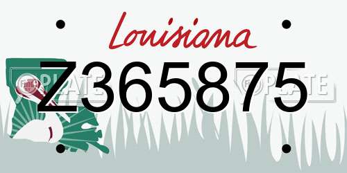 Z365875 Louisiana License Plate
