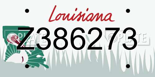 Z386273 Louisiana License Plate