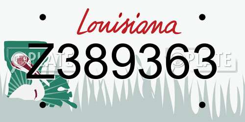 Z389363 Louisiana License Plate