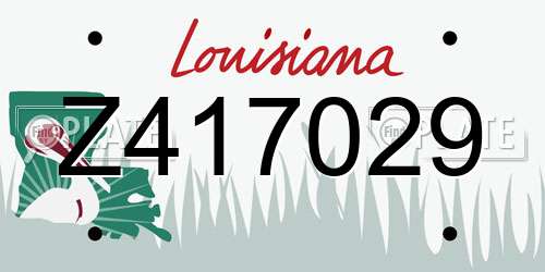Z417029 Louisiana License Plate