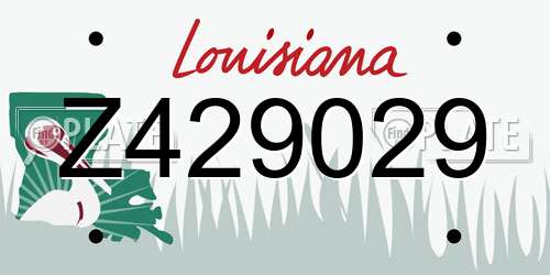 Z429029 Louisiana License Plate
